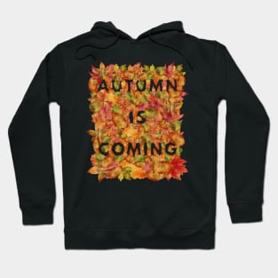 Dry Leaves Autumn Is Coming Best Giftt For Loves Of Falling Leaves Hoodie